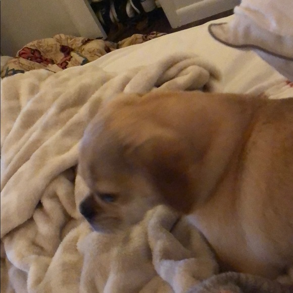 Meet your Posher, Matt - Picture 1 of 1